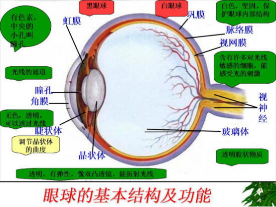 云图片